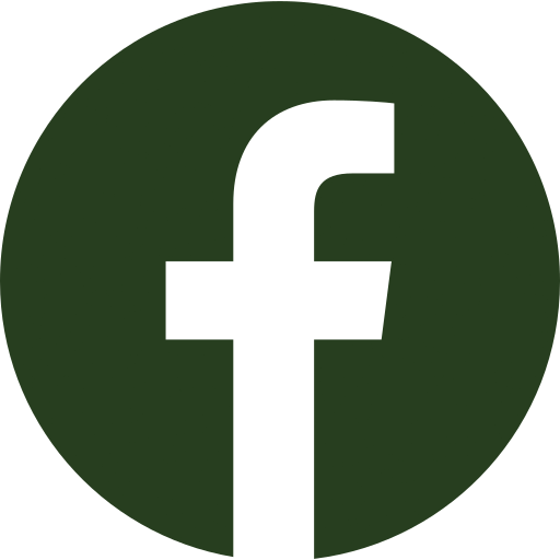 facebook-pt-link